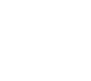 AirMark